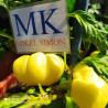 Botinecka Zuta ,10 semillas,Capsicum annuum (326)