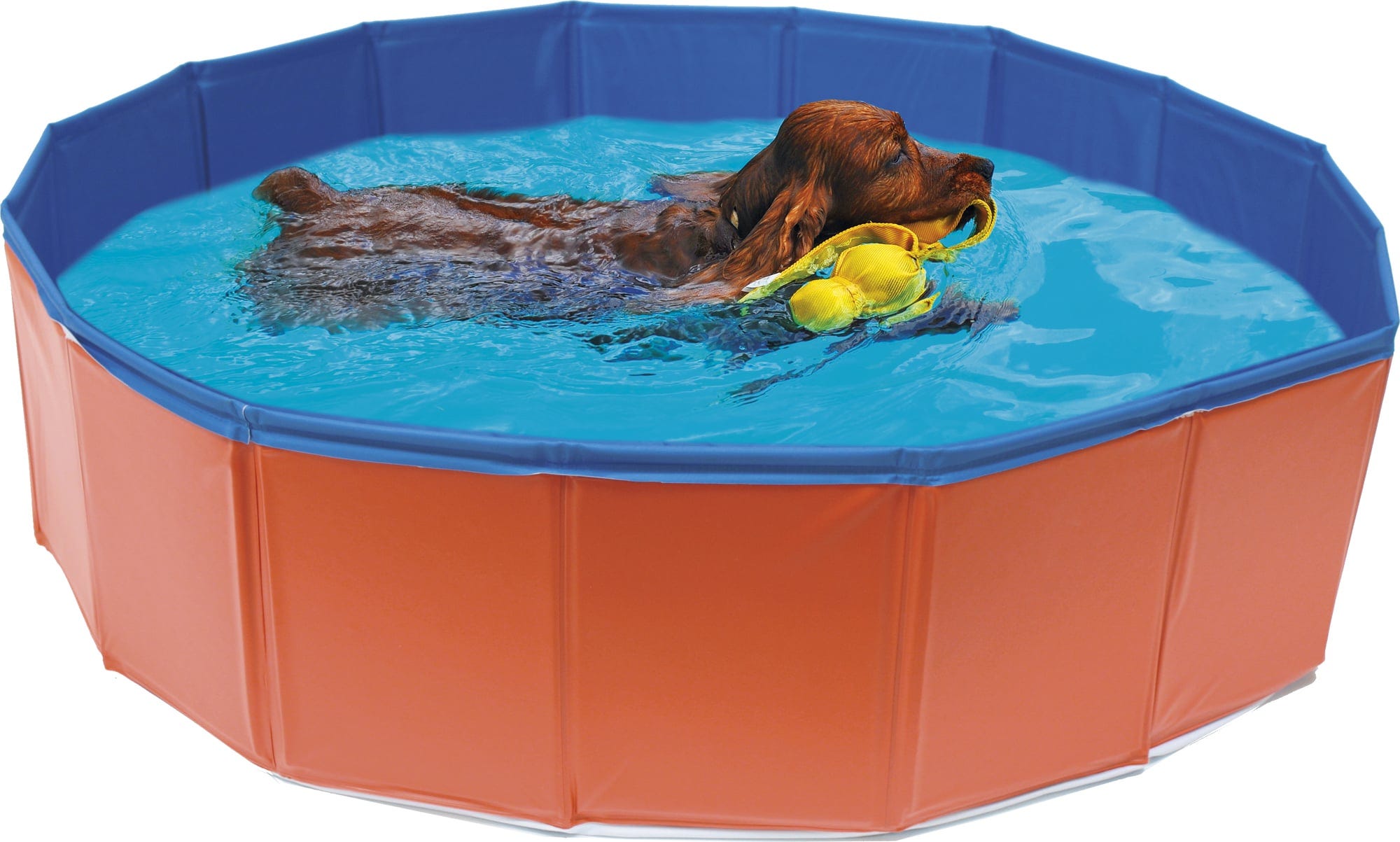 Croci Hunde Pool - 120x30 cm