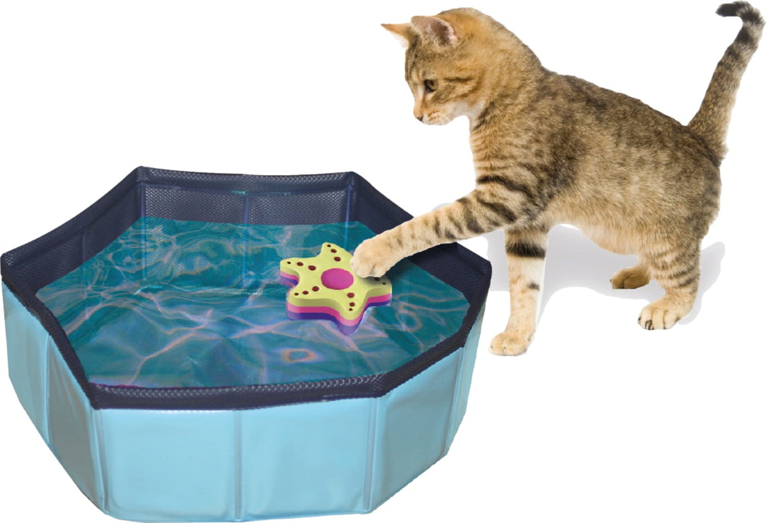 Croci Katzen Pool 30x10 cm - 1 Stk