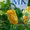 Numex Suave Orange,10 semillas,Capsicum chinense (373)