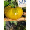 Tomate Babbau Rhum, 10 semillas (281)