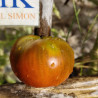 Tomate Black Altai , 10 semillas (441)