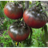 Tomate Black From Tula , 10 semillas (3)