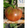 Tomate Frakenstein Black , 10 semillas (284)
