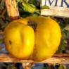 Tomate Moya Verde , 10 Semillas (340)