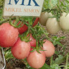 Tomate Thai Pink Egg , 10 semillas (201)